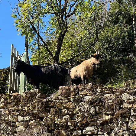 Apartmán De Coussane 2 Espalion