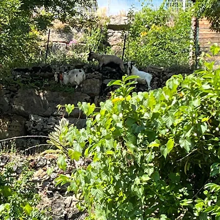 De Coussane 2 Apartmán Espalion