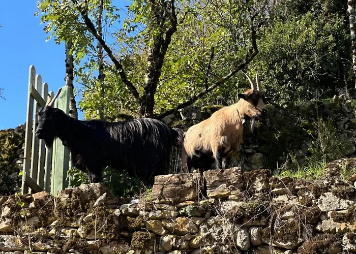 Апартаменты De Coussane 2 Эспальон