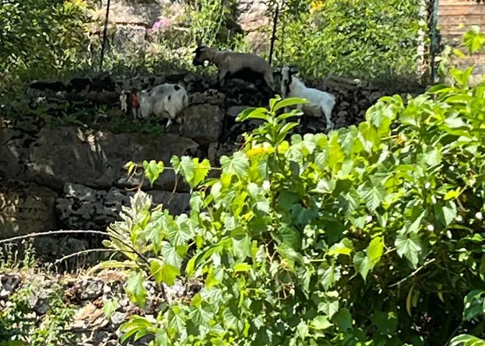 De Coussane 2 Апартаменты Эспальон